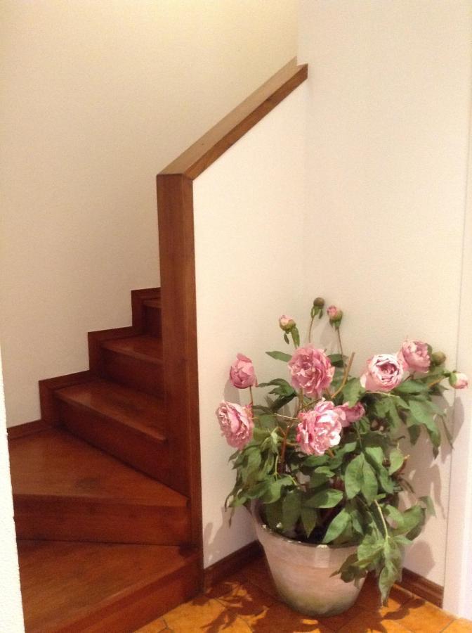 Casa Di Lucia B&B Ladispoli Dış mekan fotoğraf
