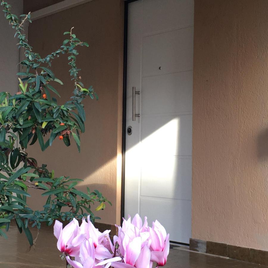 Casa Di Lucia B&B Ladispoli Dış mekan fotoğraf